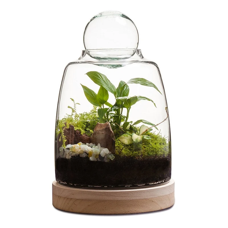 Soho Terrarium