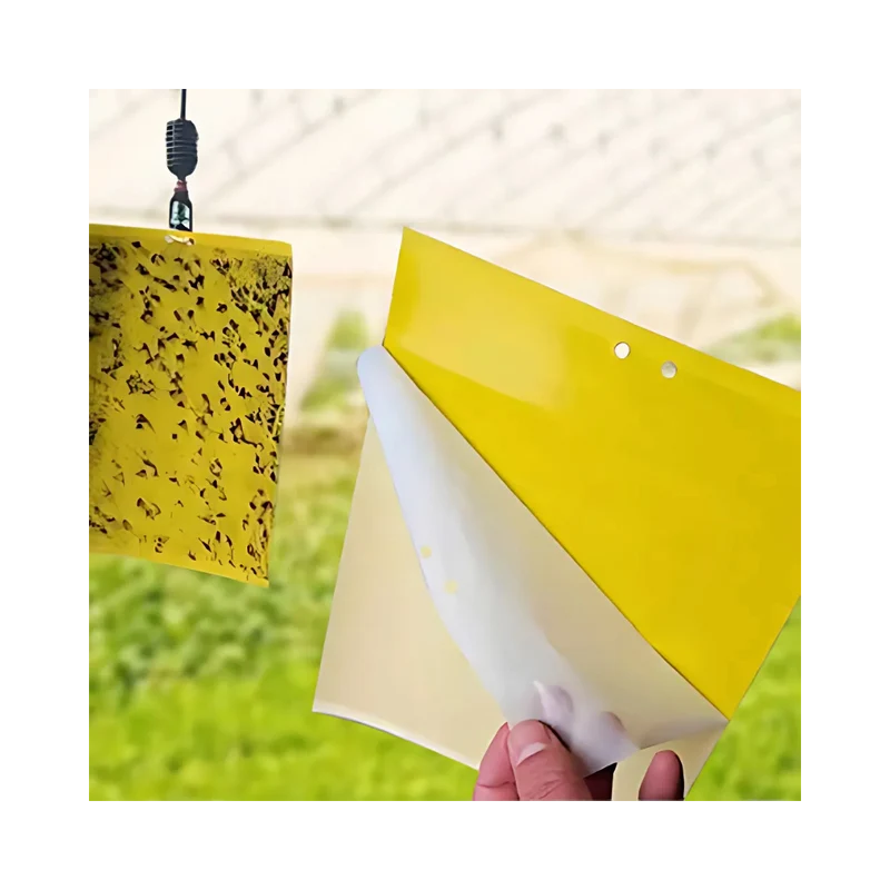Pièges à insectes collants jaunes