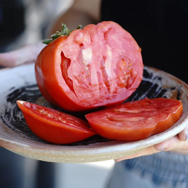 Tomate beefsteak Grosse de Rodelle - Bio