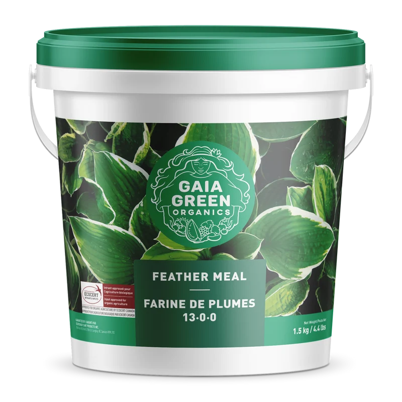 Farine de plume de Gaia Green