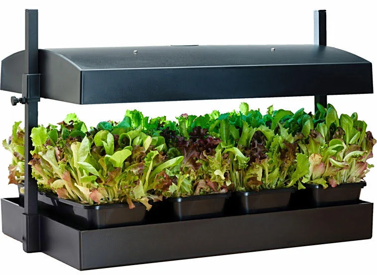 Potager d’intérieur Growlight Garden de SunBlaster