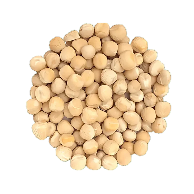 Pois jaune à germer - Bio