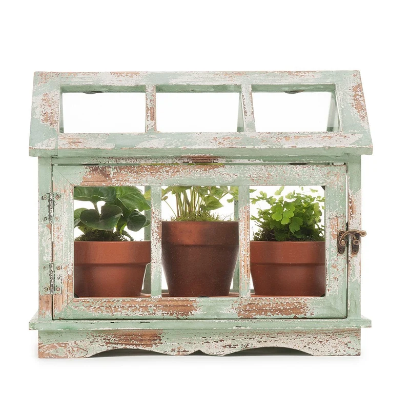Vintage Fern Greenhouse