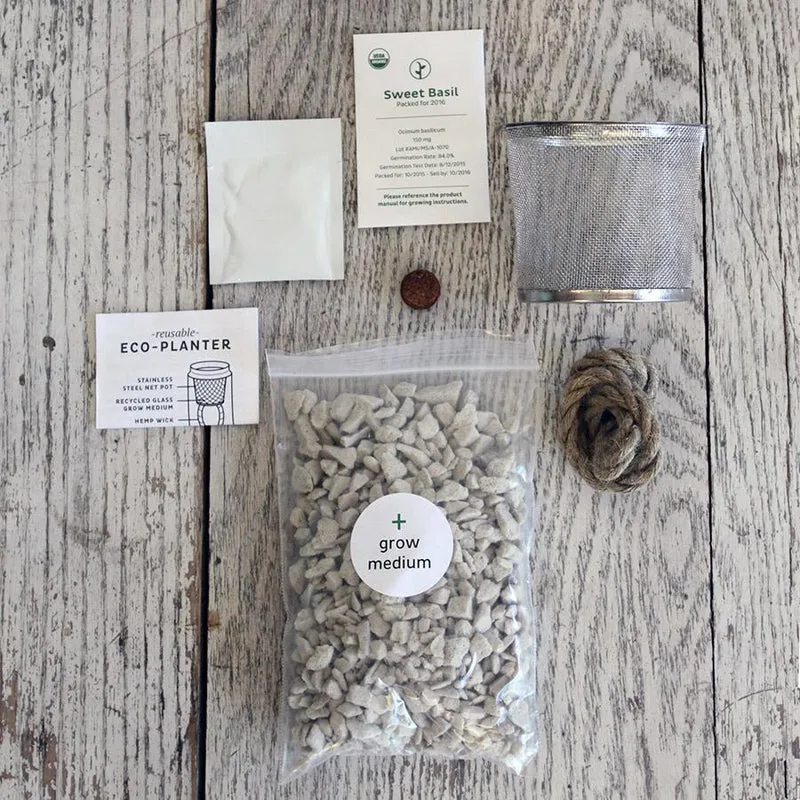 Mint Eco Planter Kit