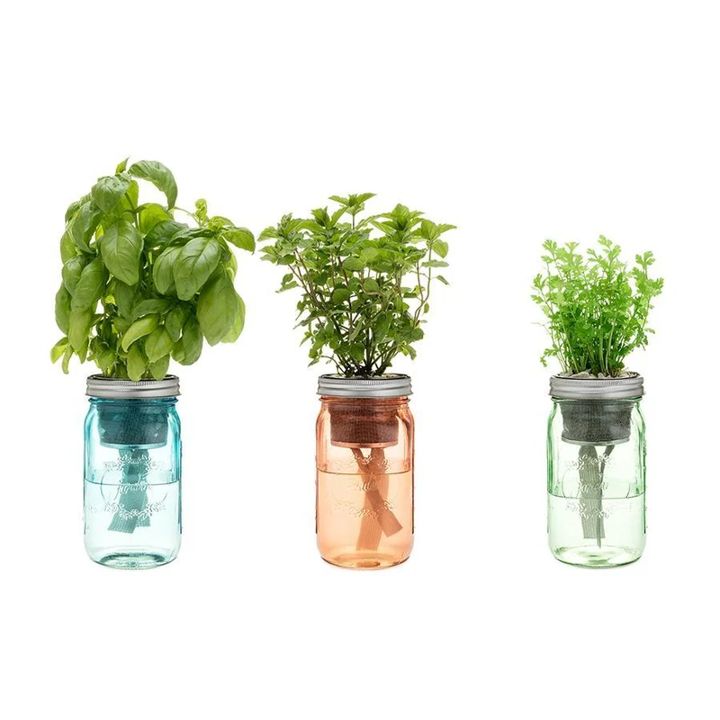 Asian Herb Garden Jars