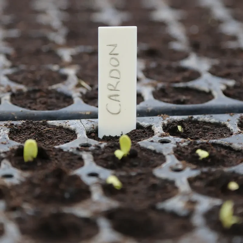 ETIQUETTES DE SEMIS COMPOSTABLES
