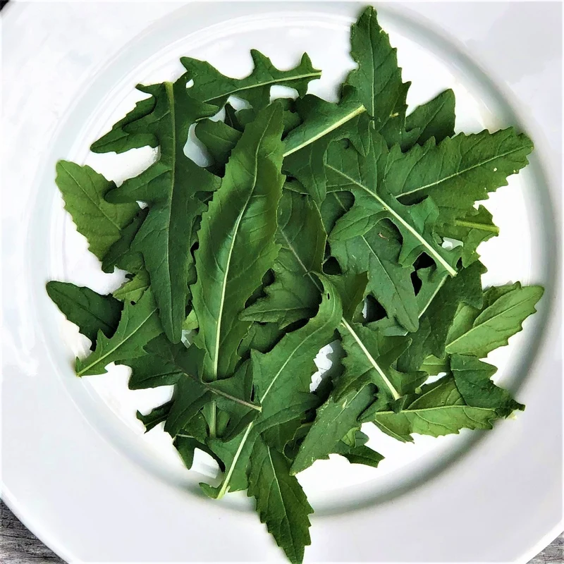 Roquette japonaise Wasabi - Bio