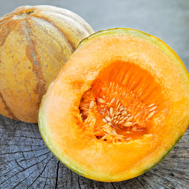 Melon brodé d'Oka - Bio