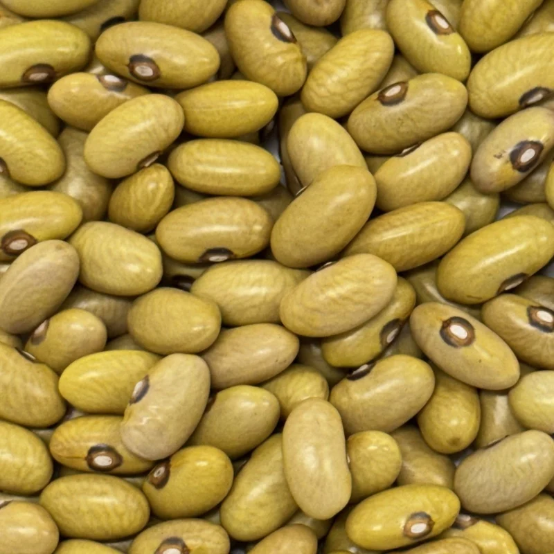 Haricot sec Héritage Doré - Bio