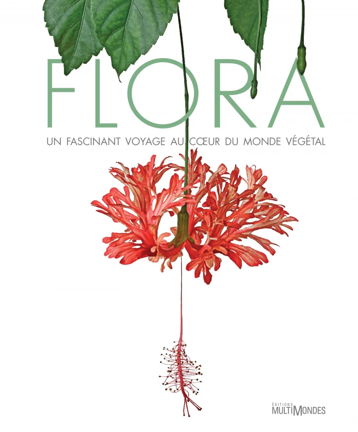 Flora - Un fascinant voyage au cœur du monde végétal