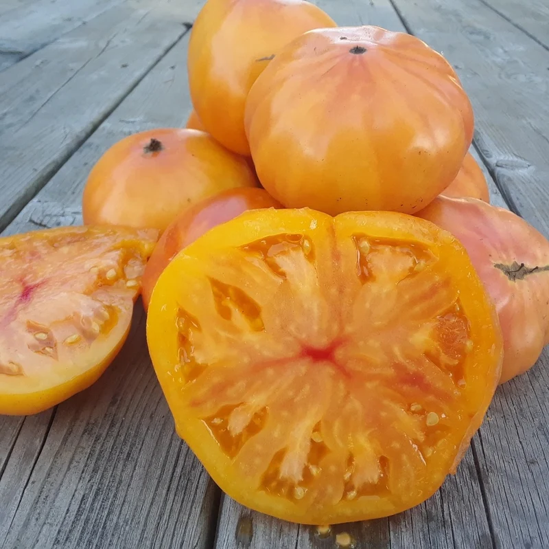 Tomate beefsteak Ananas - Bio