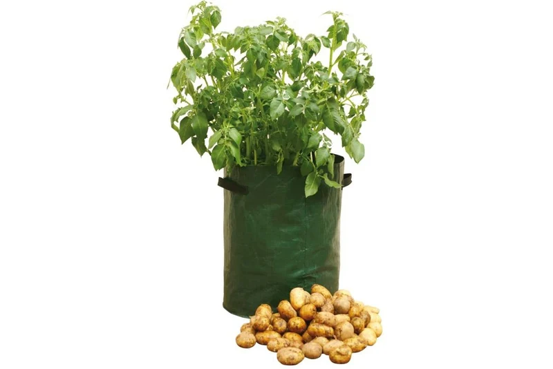 Sacs de plantation pour pommes de terre de Haxnicks