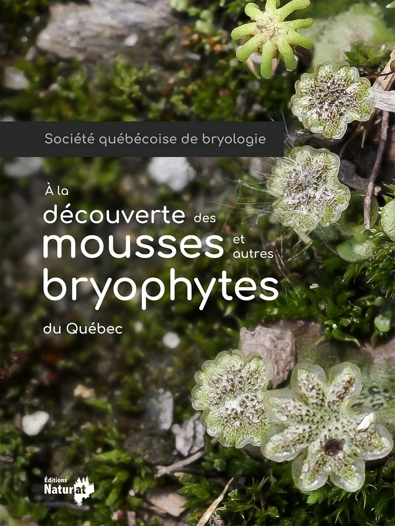 découverte des mousses et autres bryophytes du Québec (À la )