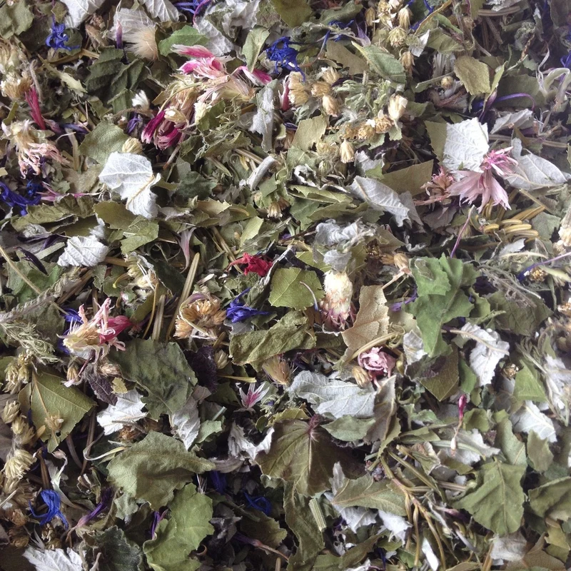 Vita-digestio