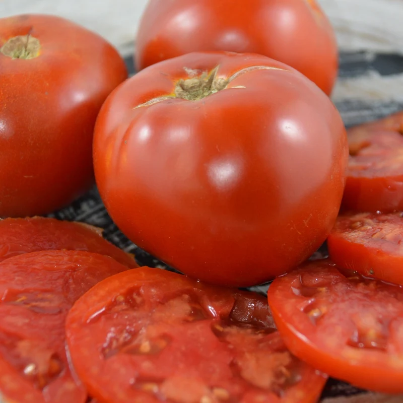Tomate standard Moskvich - Bio