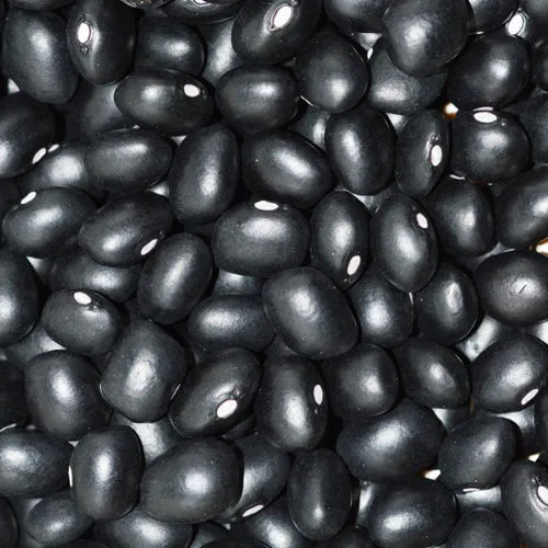 Haricot sec Hopi Black - Bio