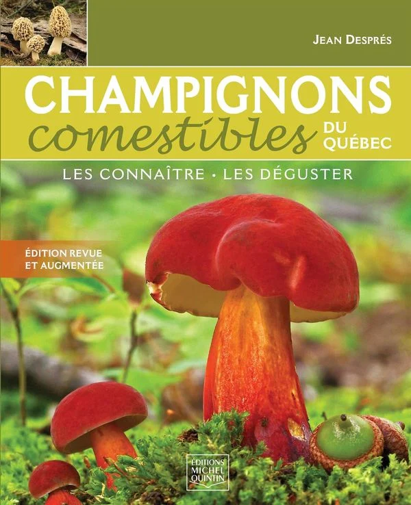 Champignons comestibles du Québec : Les connaître, les déguster