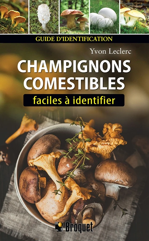 Champignons comestibles faciles à identifier