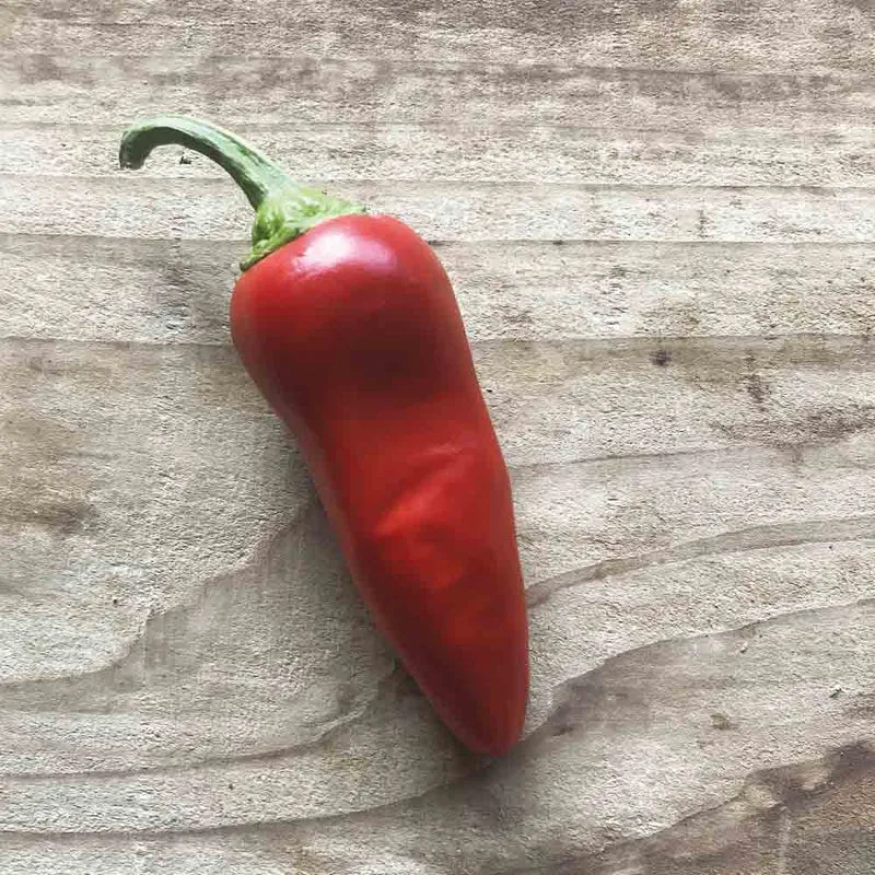 PIMENT BASQUE GORRIA AB - PLANT
