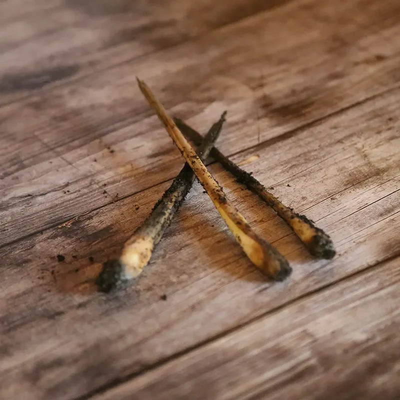 LEMONGRASS OU CITRONNELLE NT (rhizome)