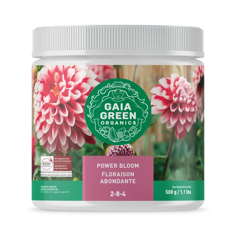 Floraison abondante 2-8-4 de Gaia Green