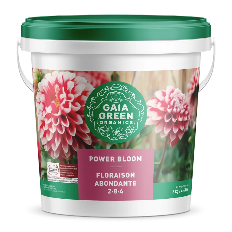 Floraison abondante 2-8-4 de Gaia Green
