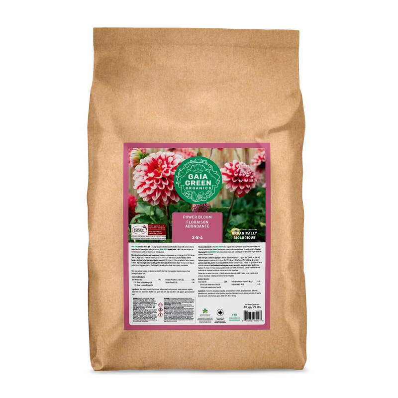 Floraison abondante 2-8-4 de Gaia Green