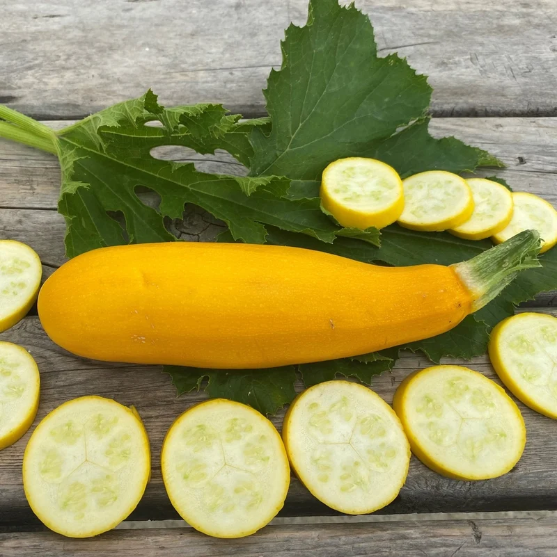 Courgette jaune - Bio