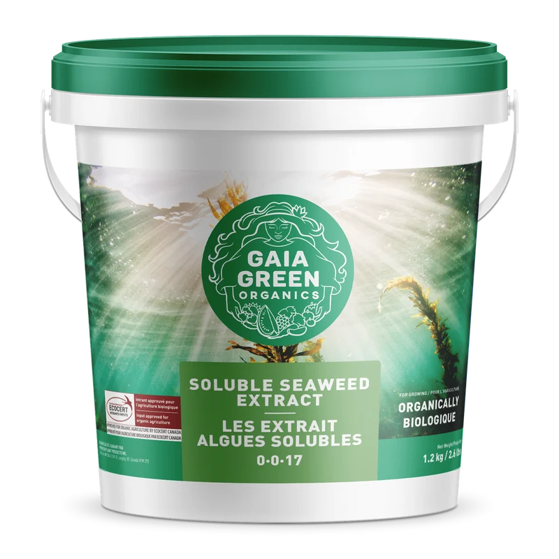 Extrait d'algues solubles de Gaia Green