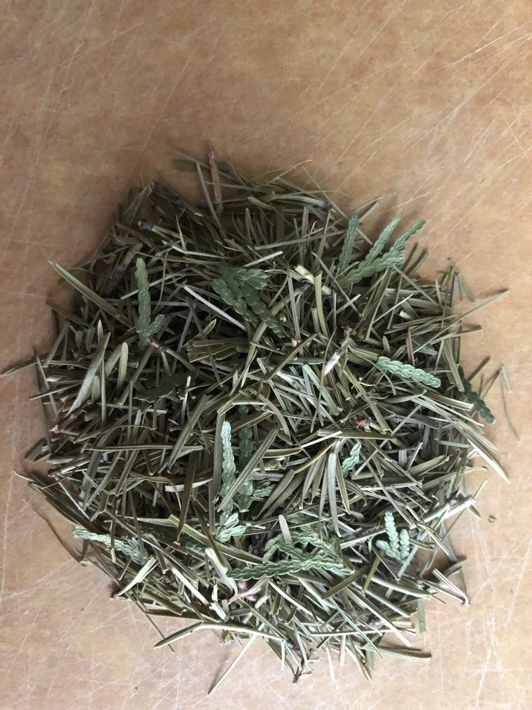 Conifères