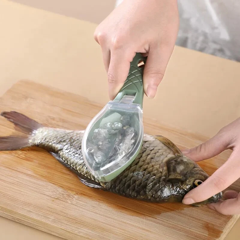Ecailleur à poisson
