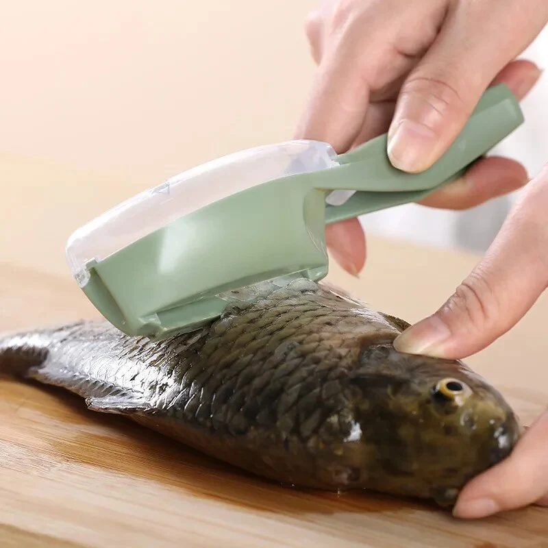 Ecailleur à poisson