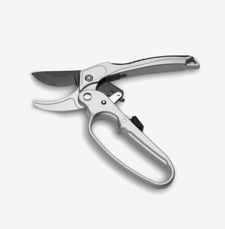 Vine Vacuum