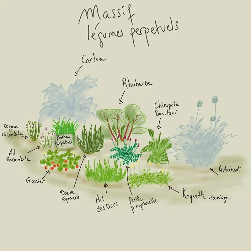 MASSIF CLÉ EN MAIN 12 M² AB - POTAGER PERPÉTUEL