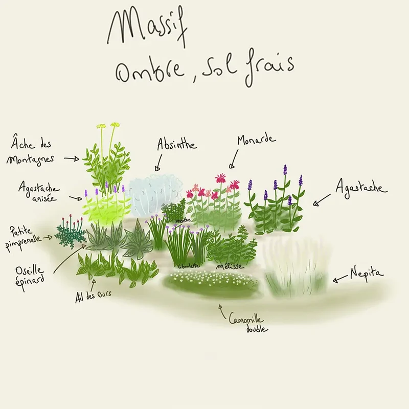 MASSIF CLÉ EN MAIN 12 M² AB - OMBRE SOL FRAIS