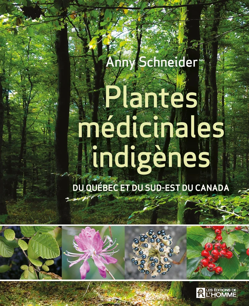 Plantes médicinales indigènes - Du Québec et du sud-est du Canada