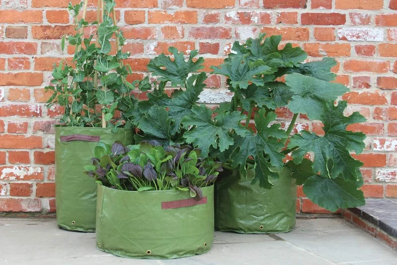 Sacs de plantation pour légumes de Haxnicks