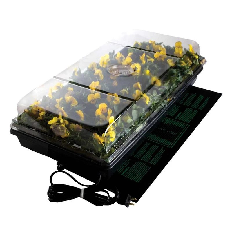 Station de germination de Jump Start
