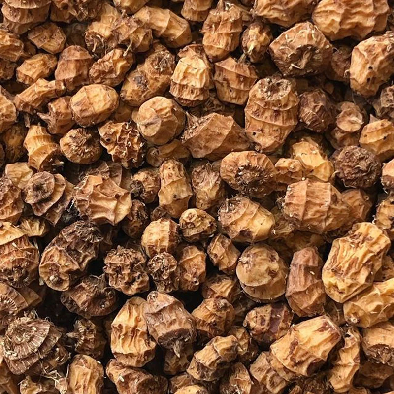 Souchet comestible - Bio
