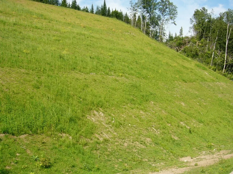 Stabilisation indigène d’Herbionik