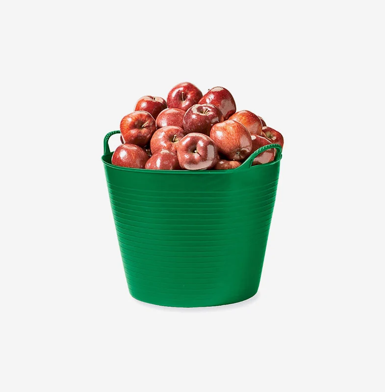 Vine Vacuum