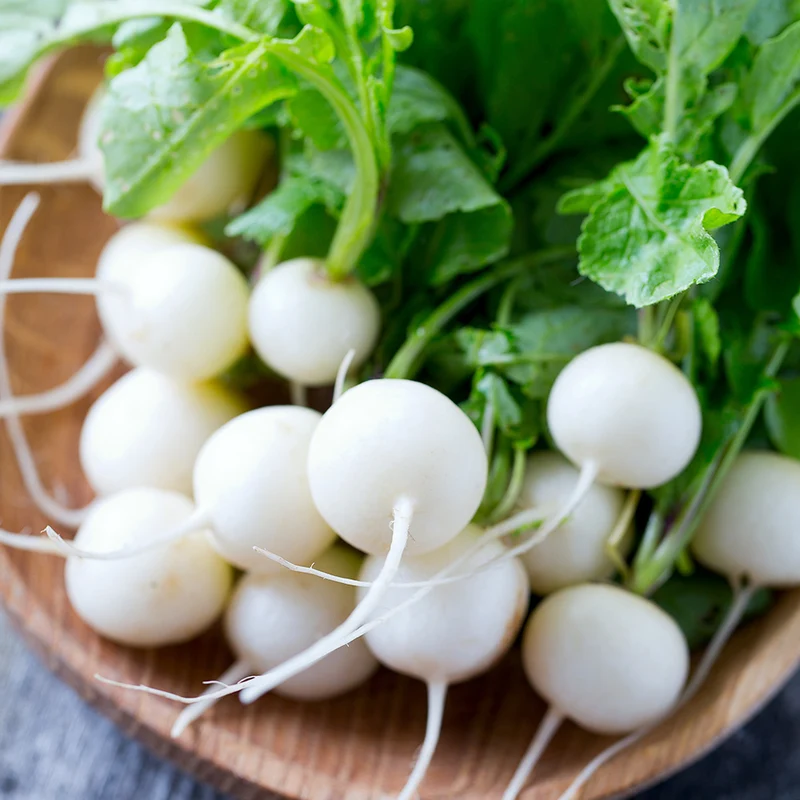 RADIS ROND BLANC PEARL AB