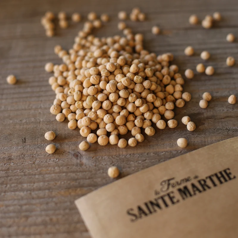 POIS MANGETOUT NAIN DELIKATA AB