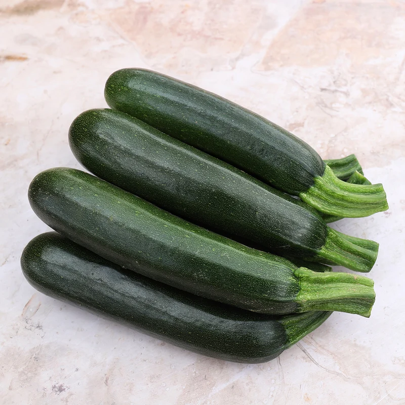 COURGETTE VERTE HERMOSA AB