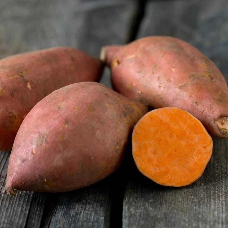PATATE DOUCE ÉVANGELINE - AB - PLANT